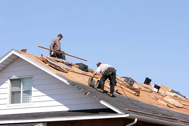 Best Roof Moss and Algae Removal  in Peoria, IL